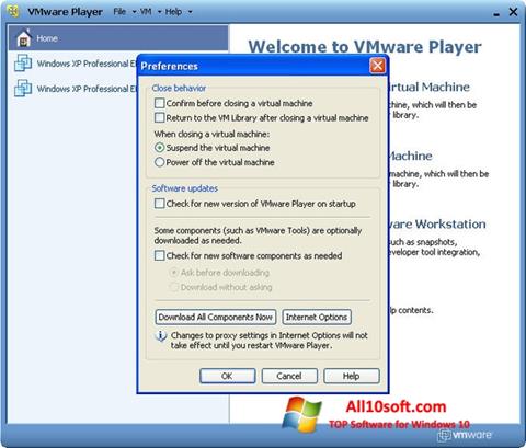 स्क्रीनशॉट VMware Player Windows 10