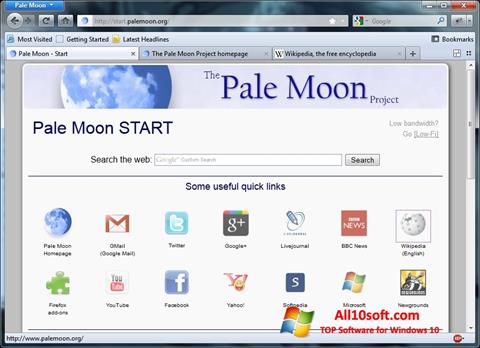 स्क्रीनशॉट Pale Moon Windows 10