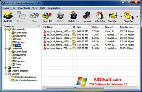 स्क्रीनशॉट Internet Download Manager Windows 10