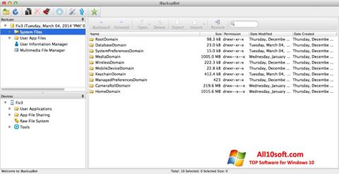 स्क्रीनशॉट iBackupBot Windows 10